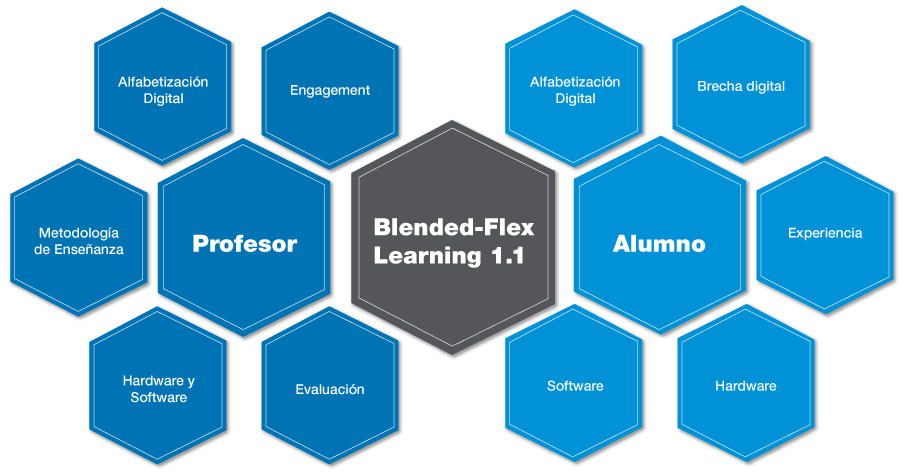 Blended-Flex Learning 